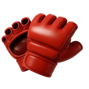 MMA